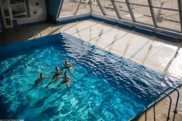 体育学校与培训机构招生对比分析(图1)